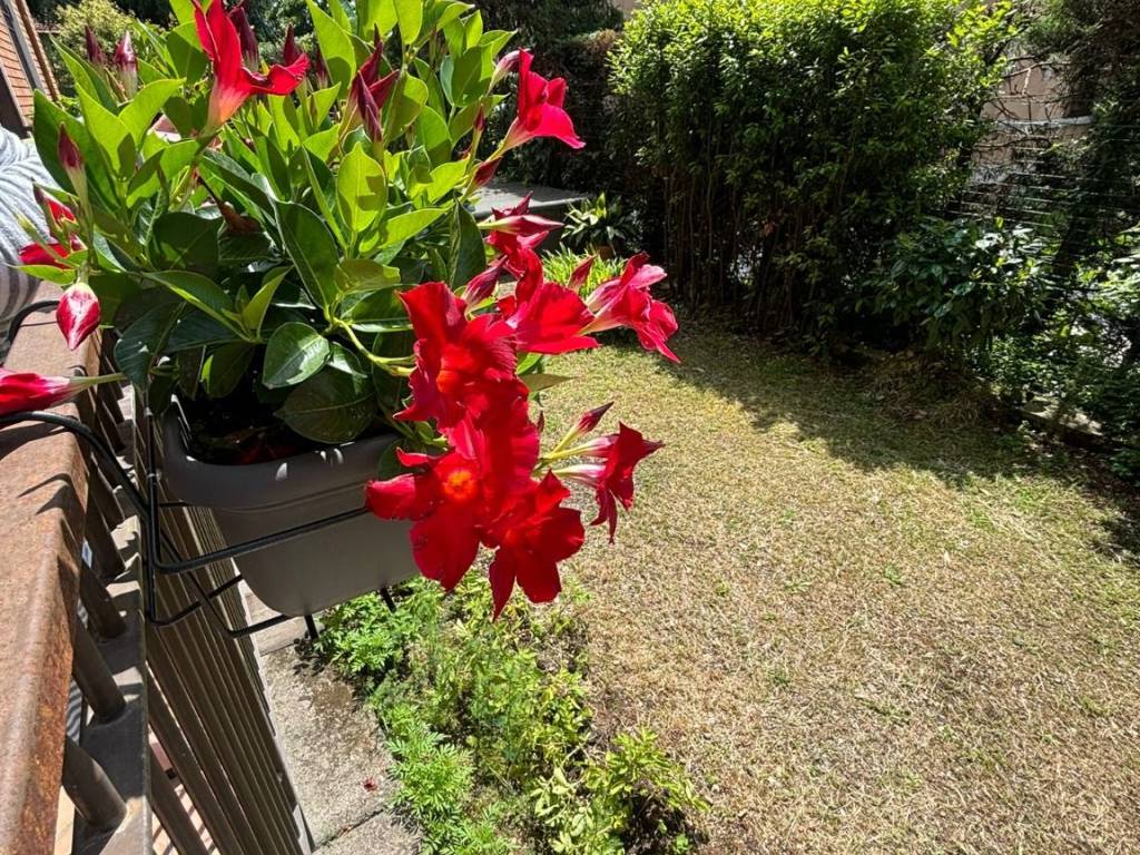 Appartamento a Rezzato in Via Giacomo Matteotti, 19 - Foto 4