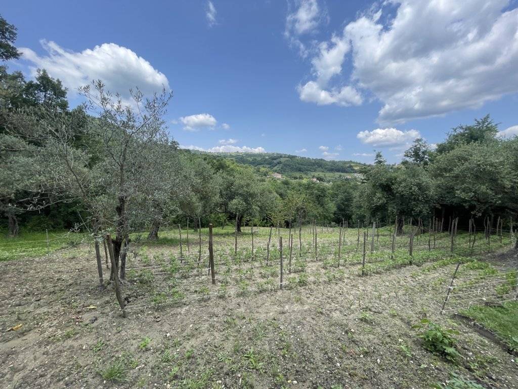 Casa indipendente a Montemarano in macchia del monte - Foto 3
