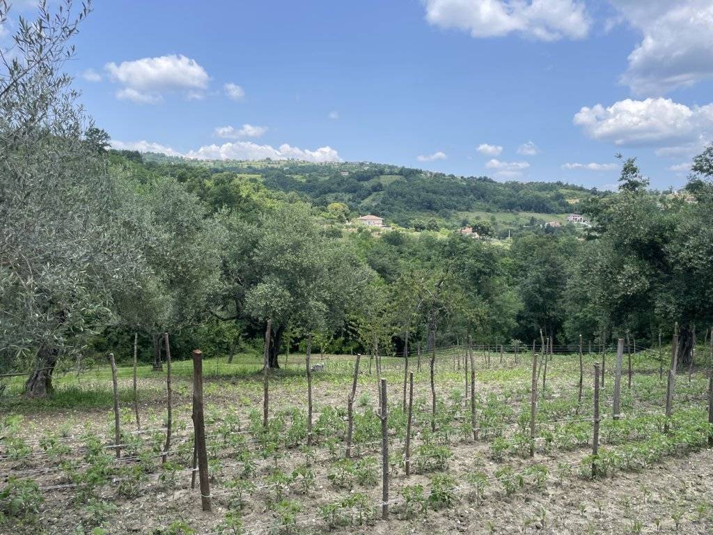 Casa indipendente a Montemarano in macchia del monte - Foto 4