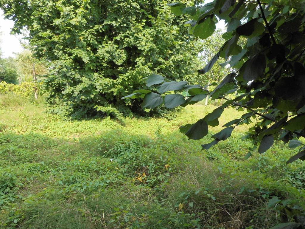 Villa a Dueville in Strada dei Morari - Foto 5