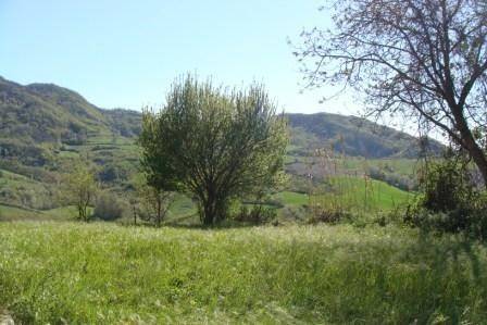 Rustico / casale a Godiasco salice terme - Foto 4