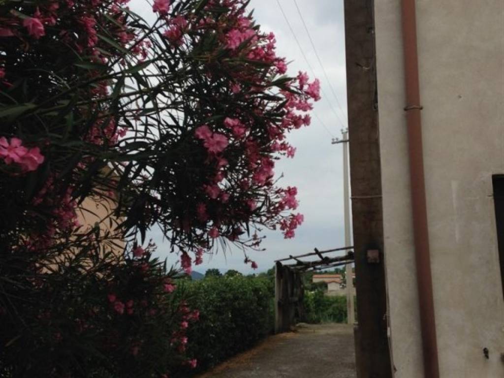 Casa indipendente a Baone in Via Capitello - Foto 3