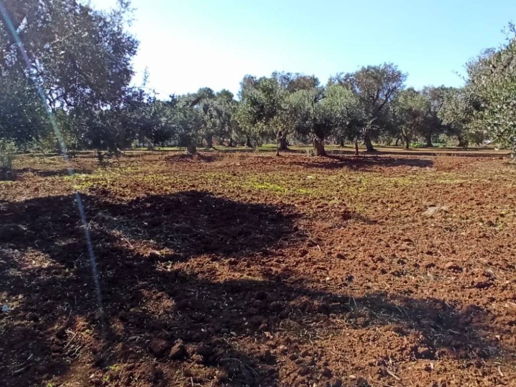 Terreno a Francavilla fontana in SP28 - Foto 4
