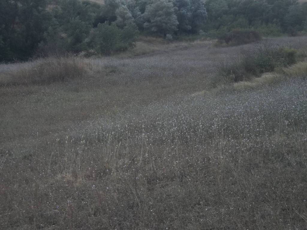 Terreno a Potenza in Contrada San Luca Scafarelli - Foto 2