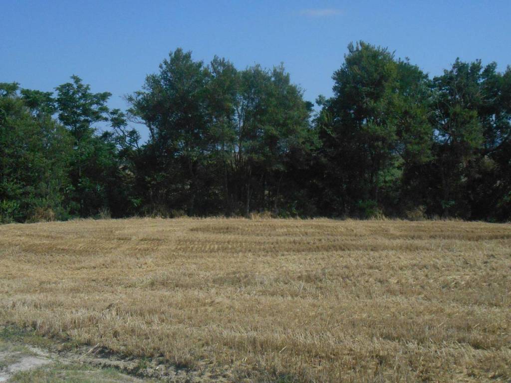 Rustico / casale a Belvedere ostrense in murello, 2 - Foto 2