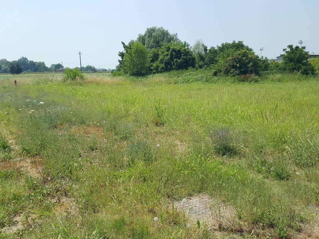 Terreno a Mezzanino in Via Marconi - Foto 3