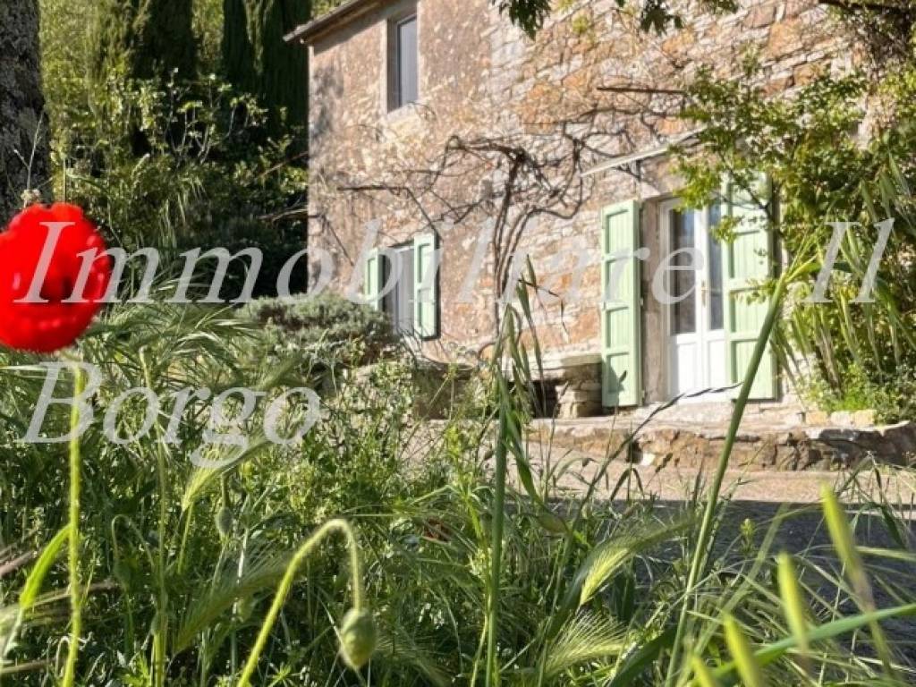 Rustico / casale a Semproniano in Località Marruchina - Foto 2