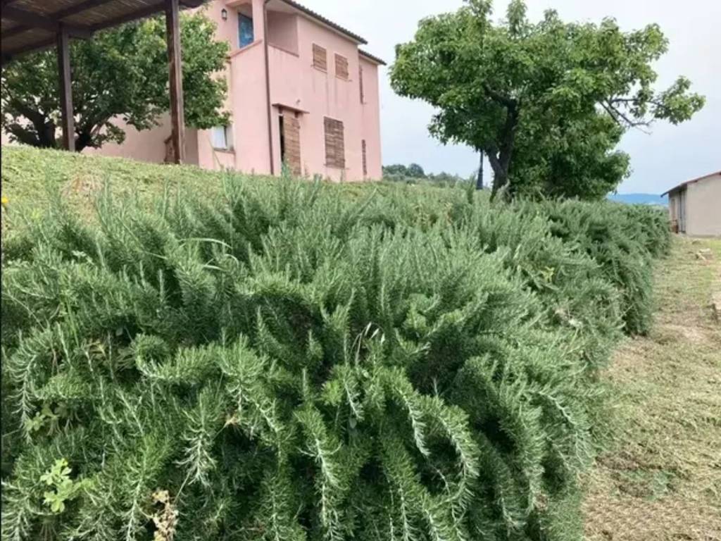 Casa indipendente a Campagnatico in Località Granaione - Foto 4