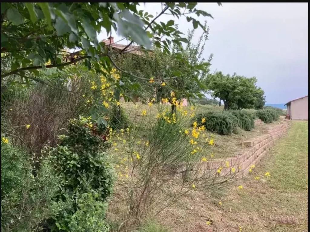 Casa indipendente a Campagnatico in Località Granaione - Foto 5