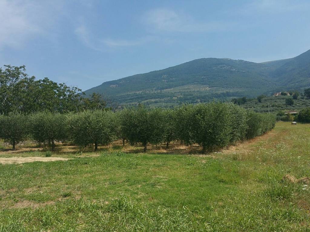 Terreno a Assisi in Via del Monte Subasio - Foto 3