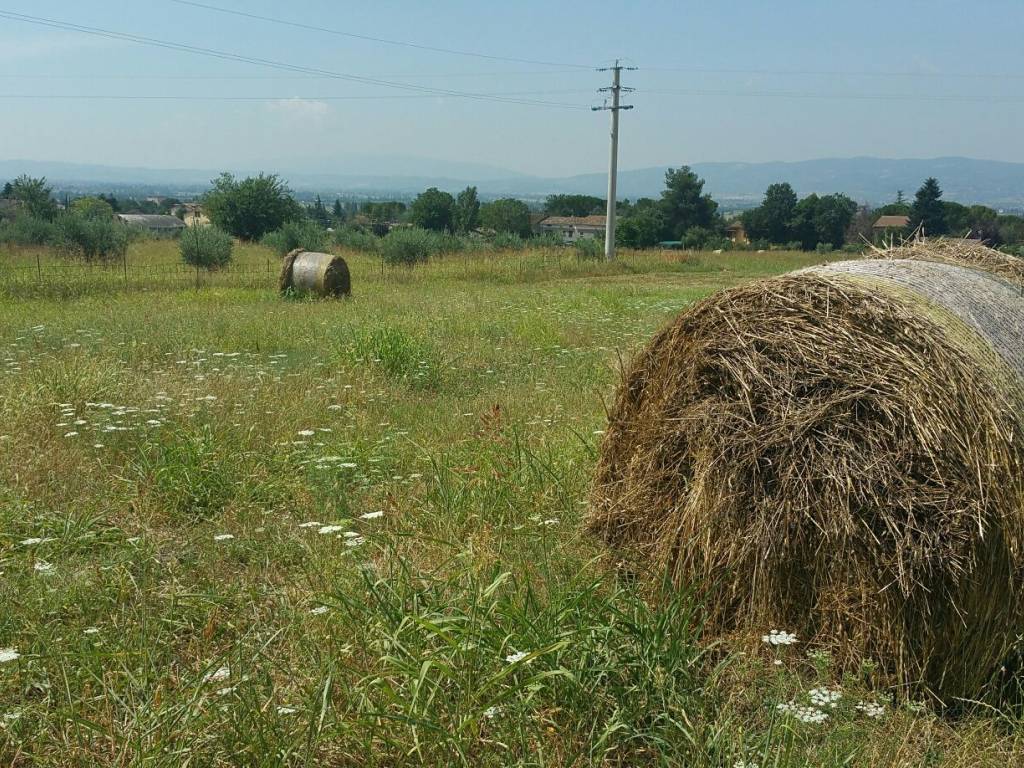 Terreno a Assisi in Via del Monte Subasio - Foto 4
