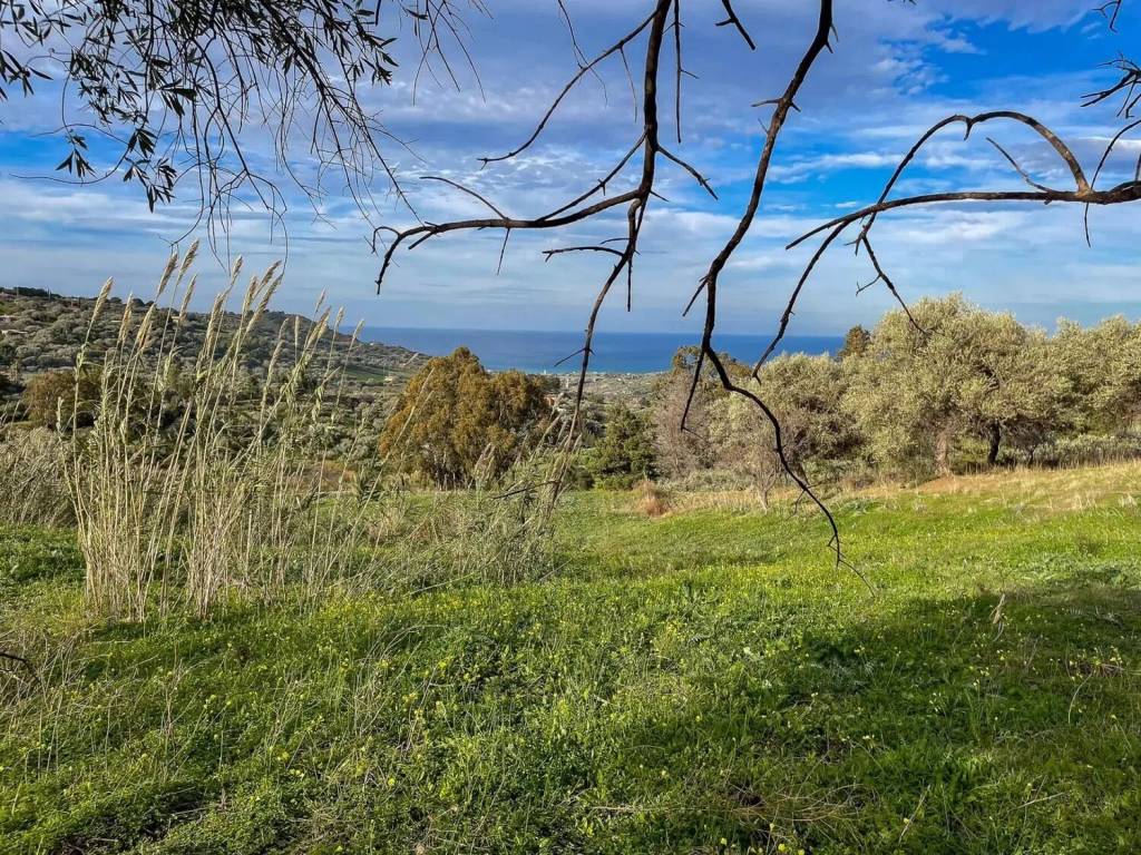 Terreno a Collesano in Strada Senza Nome - Foto 5