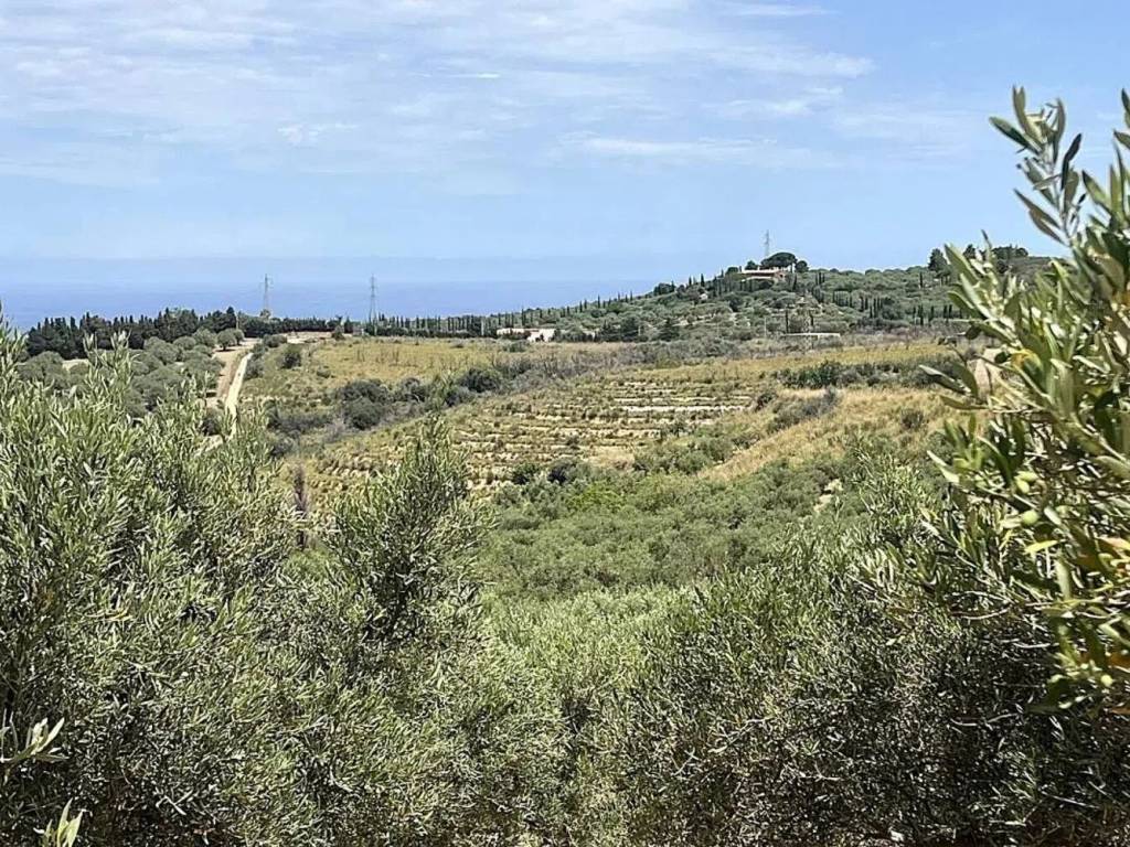 Terreno a Collesano in Strada Senza Nome - Foto 2