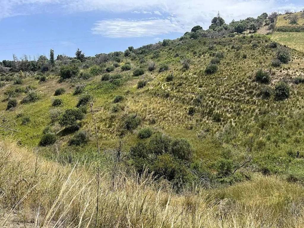 Terreno a Collesano in Strada Senza Nome - Foto 3