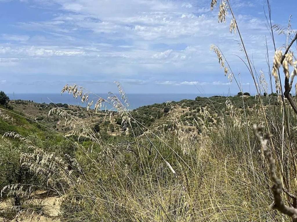 Terreno a Collesano in Strada Senza Nome - Foto 4