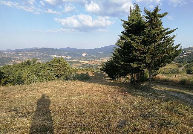 Terreno a Savoia di lucania in C.da Perolla - Foto 2