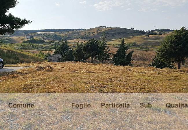 Terreno a Savoia di lucania in C.da Perolla - Foto 3
