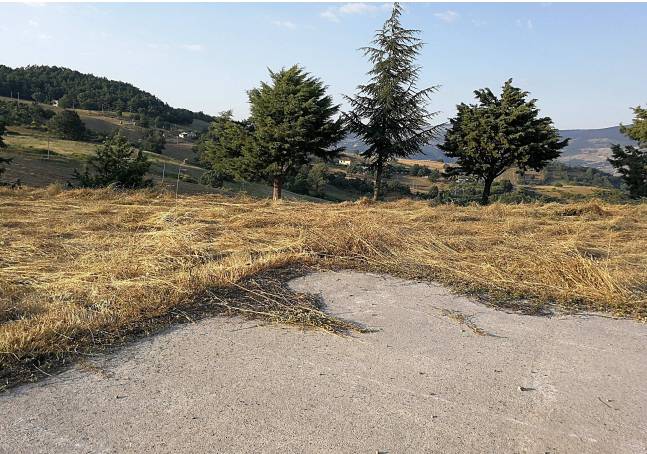 Terreno a Savoia di lucania in C.da Perolla - Foto 4