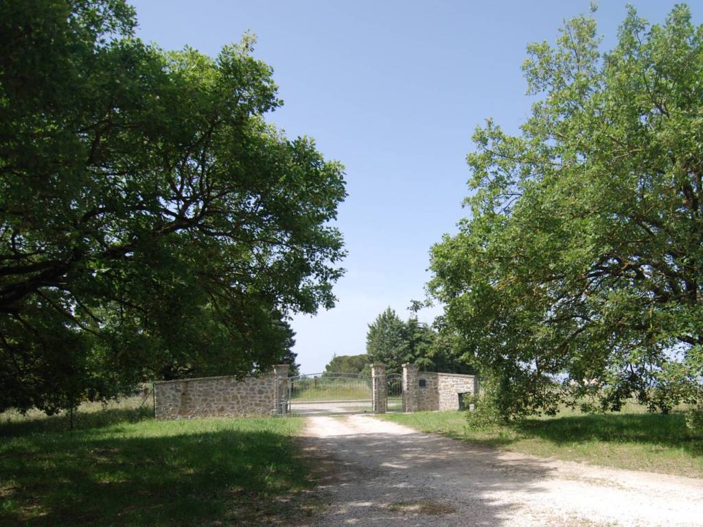 Villa a Passignano sul trasimeno in Passignano sul Trasimeno - Foto 3