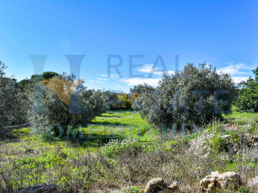 Villa a Noto in Via Tommaso Fazello, 228 - Foto 4