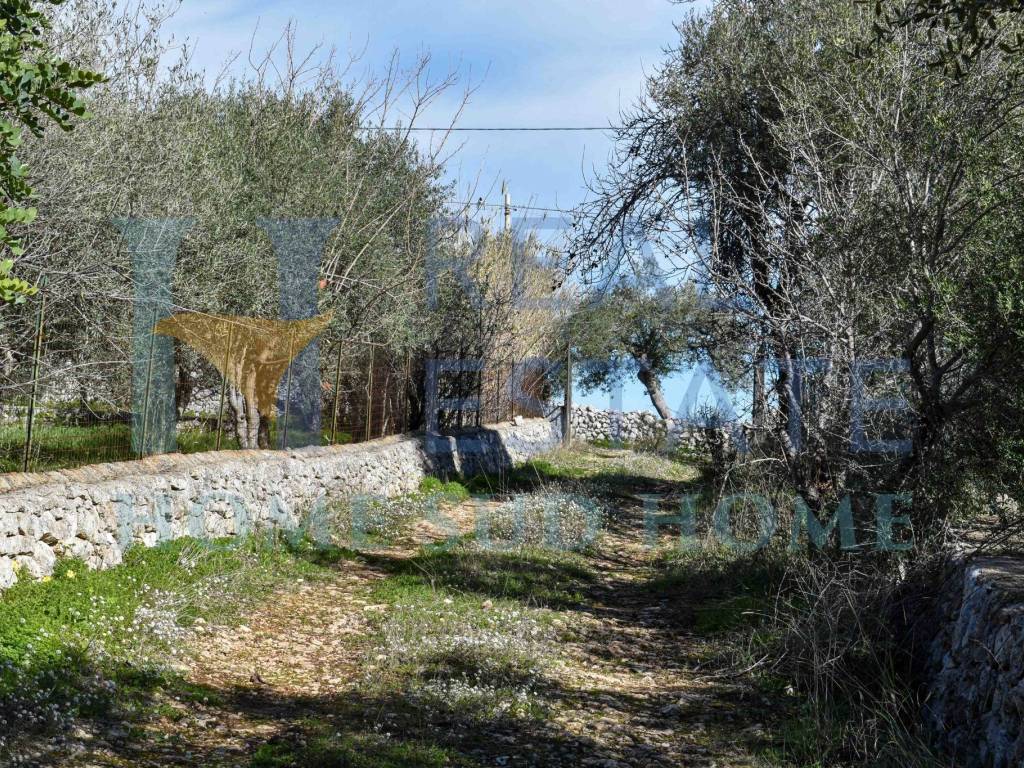 Villa a Noto in Via Tommaso Fazello, 228 - Foto 5