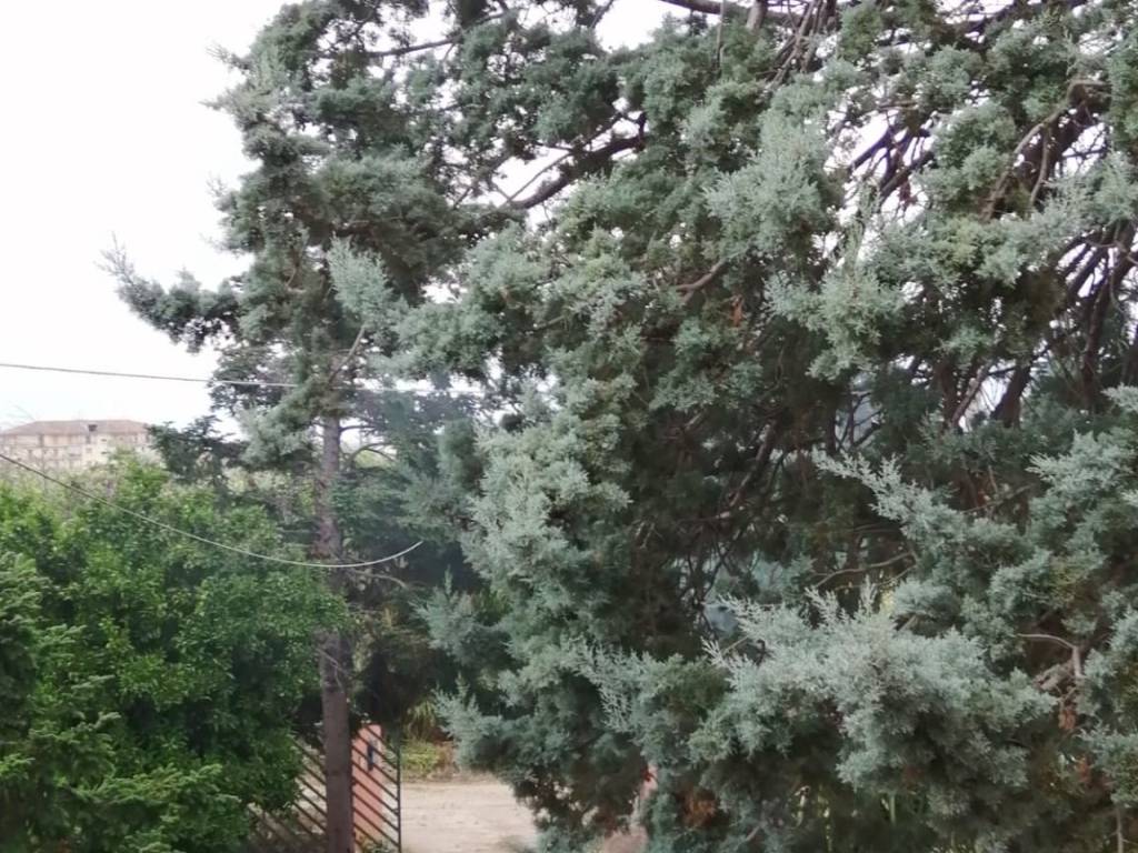 Villa a Corigliano-rossano in Contrada Caccia di Placido - Foto 2