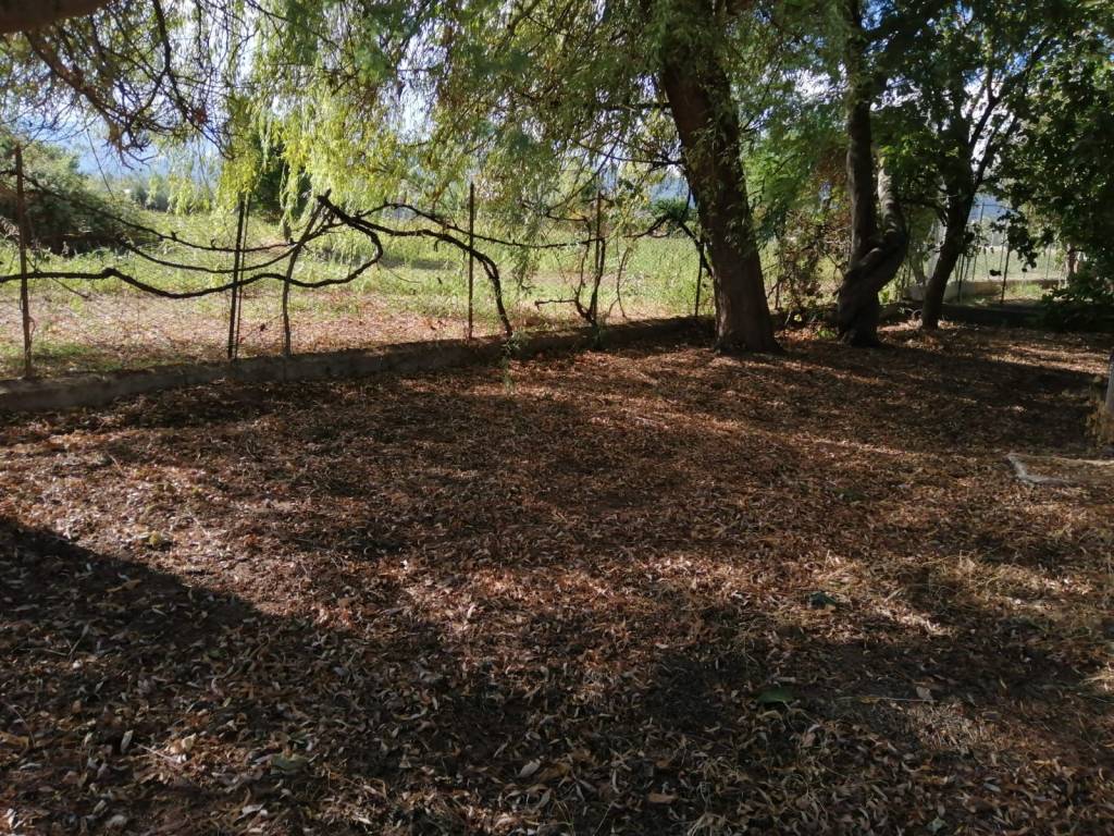 Villa a Corigliano-rossano in Contrada Caccia di Placido - Foto 3