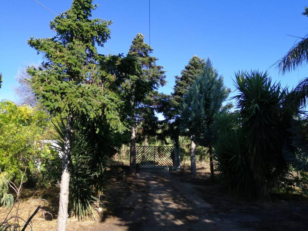 Villa a Corigliano-rossano in Contrada Caccia di Placido - Foto 4