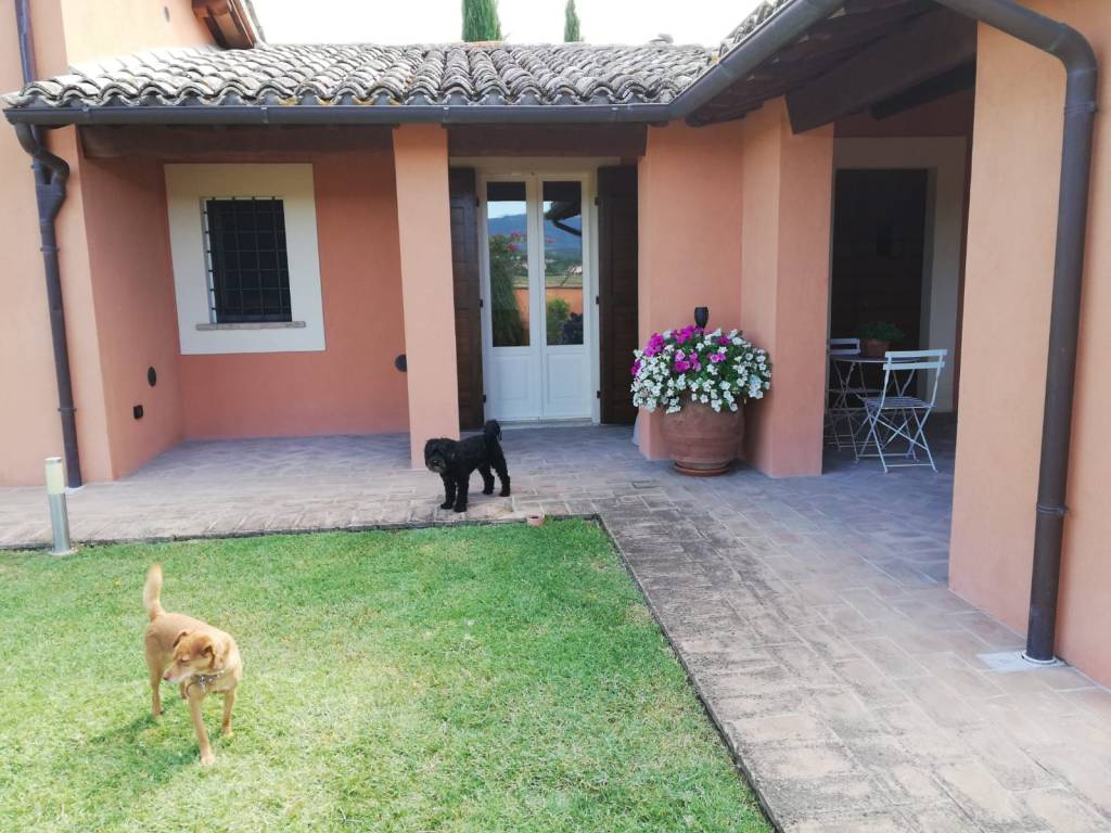 Rustico / casale a Montefalco in Montefalco, 24 - Foto 5