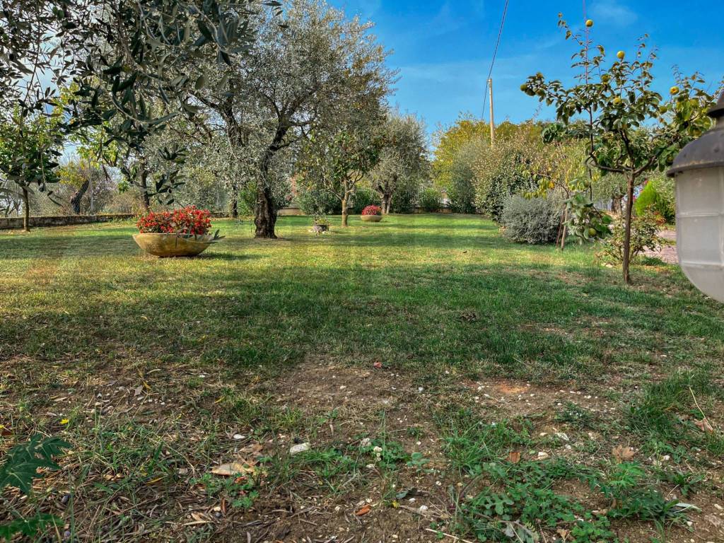 Rustico / casale a Jesi - Foto 2