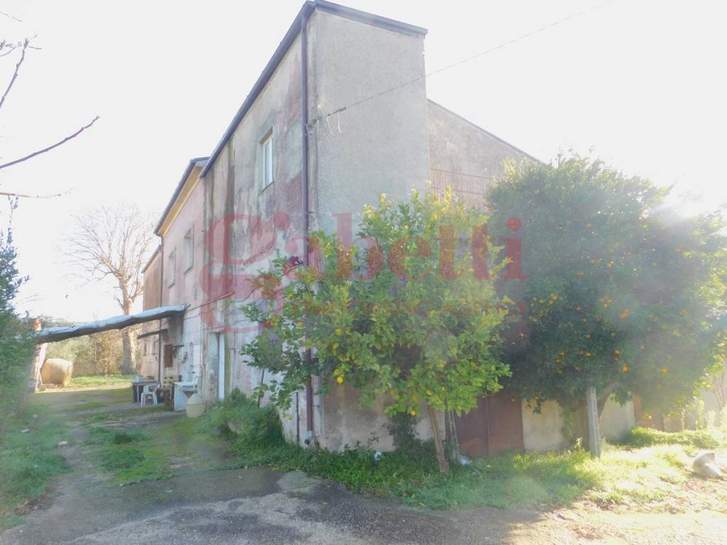 Rustico / casale a Venafro in Via Atinense, s/n - Foto 2