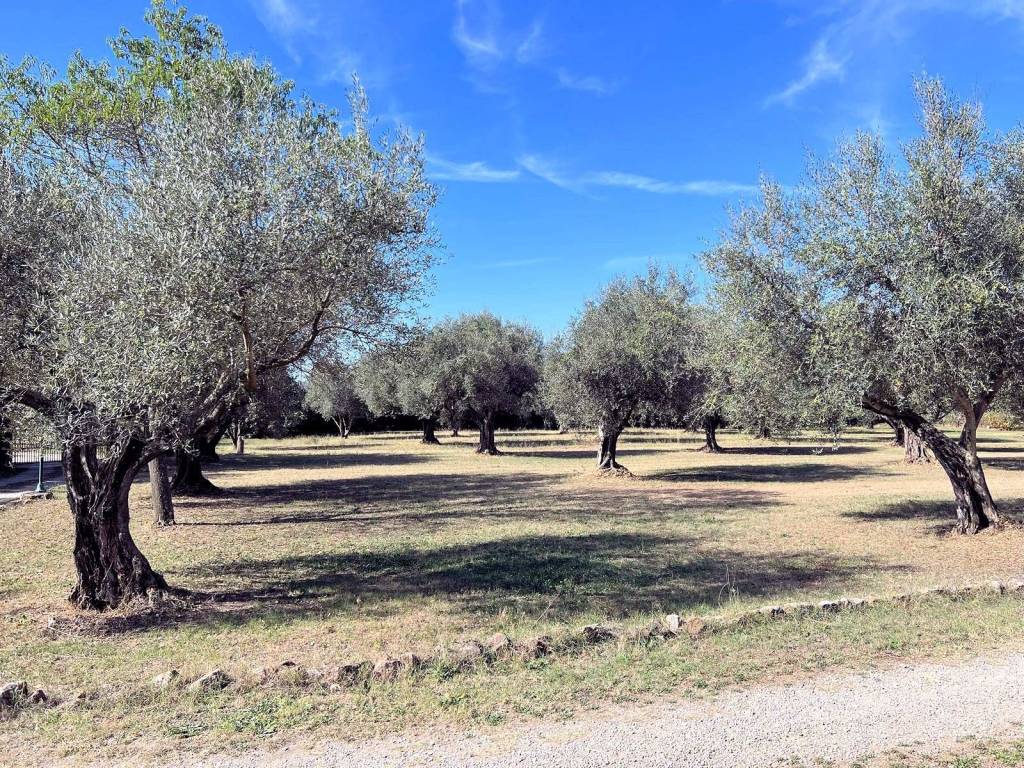 Villa a Pitigliano - Foto 4