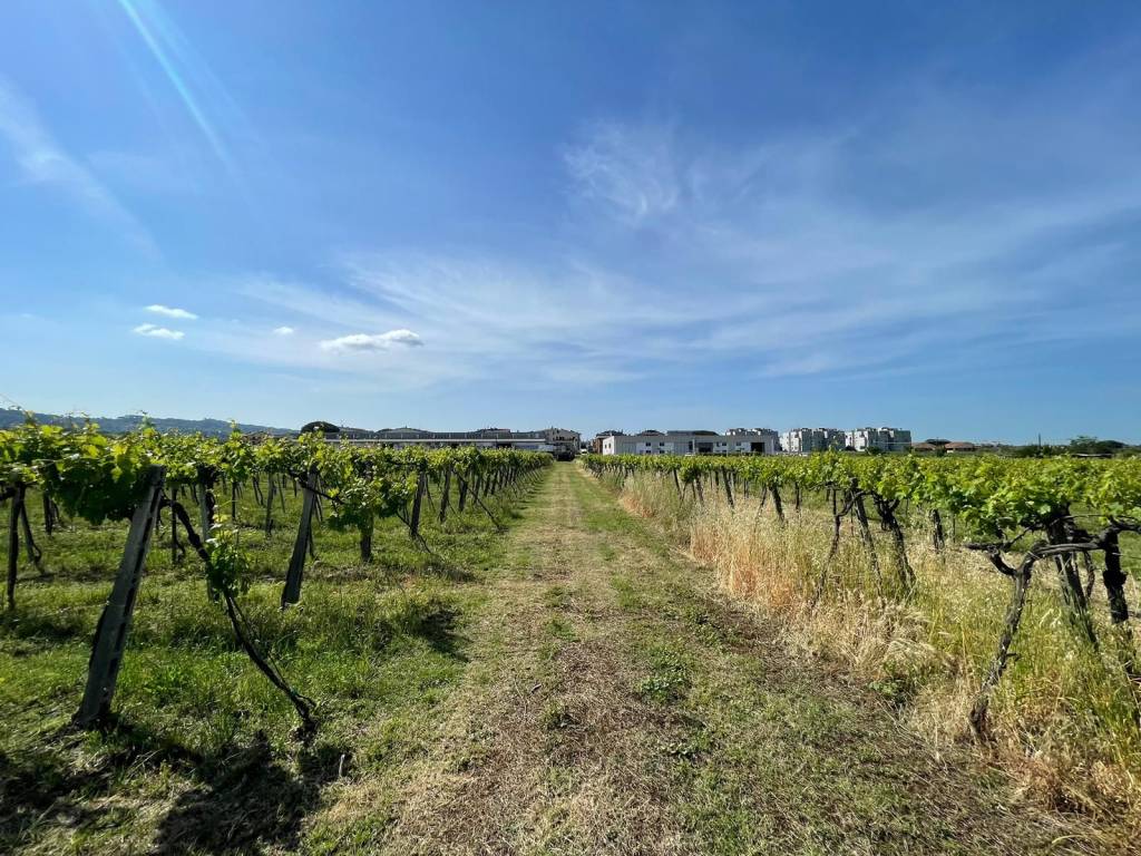 Terreno a Ciampino in Via Fontana dei Monaci - Foto 1