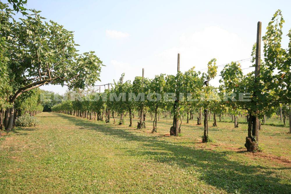 Terreno a Castenedolo in Via Giosuè Carducci, 125 - Foto 3