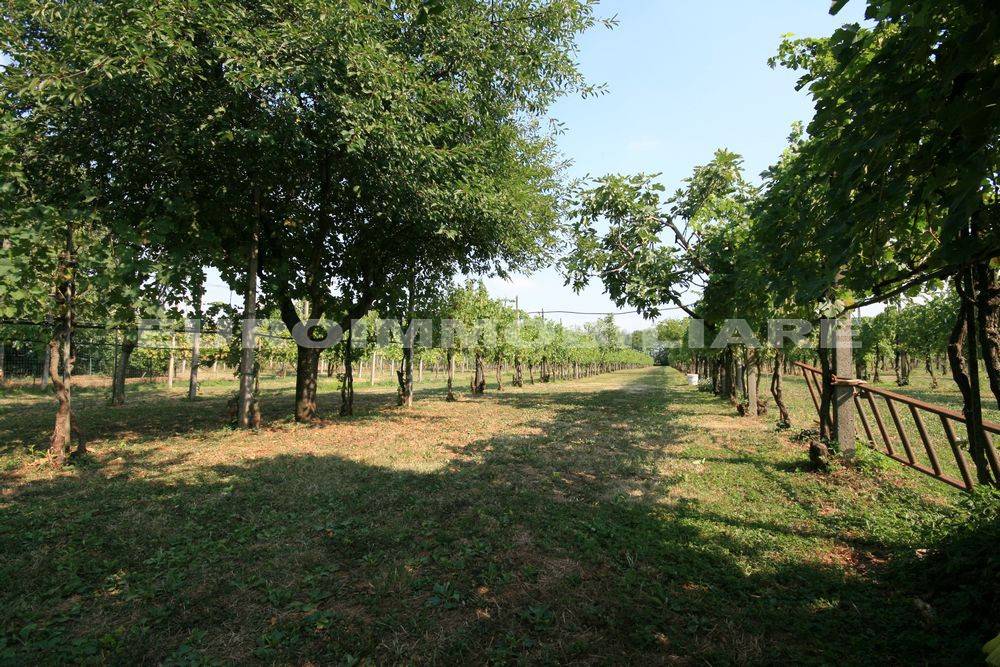 Terreno a Castenedolo in Via Giosuè Carducci, 125 - Foto 4