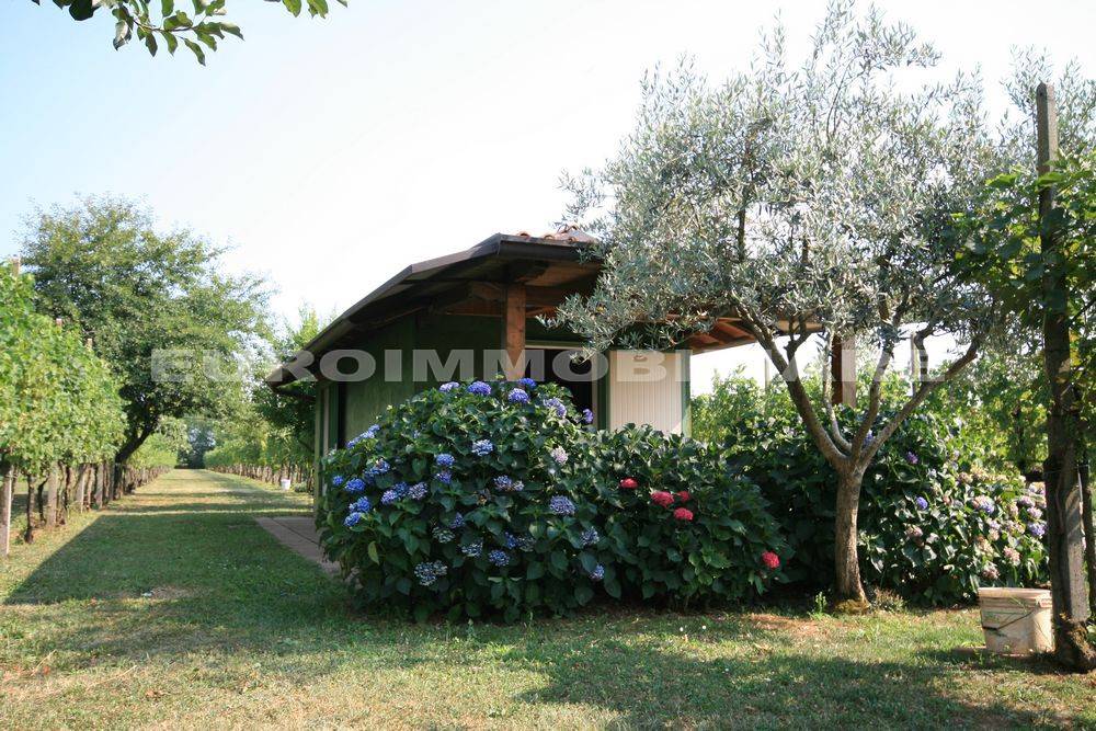 Terreno a Castenedolo in Via Giosuè Carducci, 125 - Foto 5