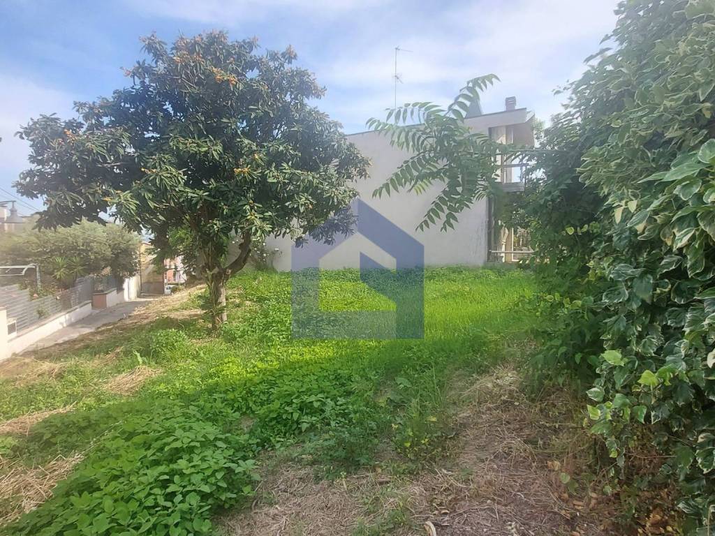 Rustico / casale a Mozzagrogna in Via Schiavoni, 15 - Foto 4