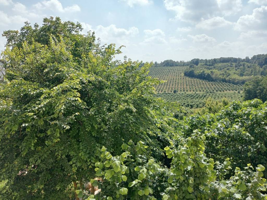 Rustico / casale a Fubine monferrato - Foto 4