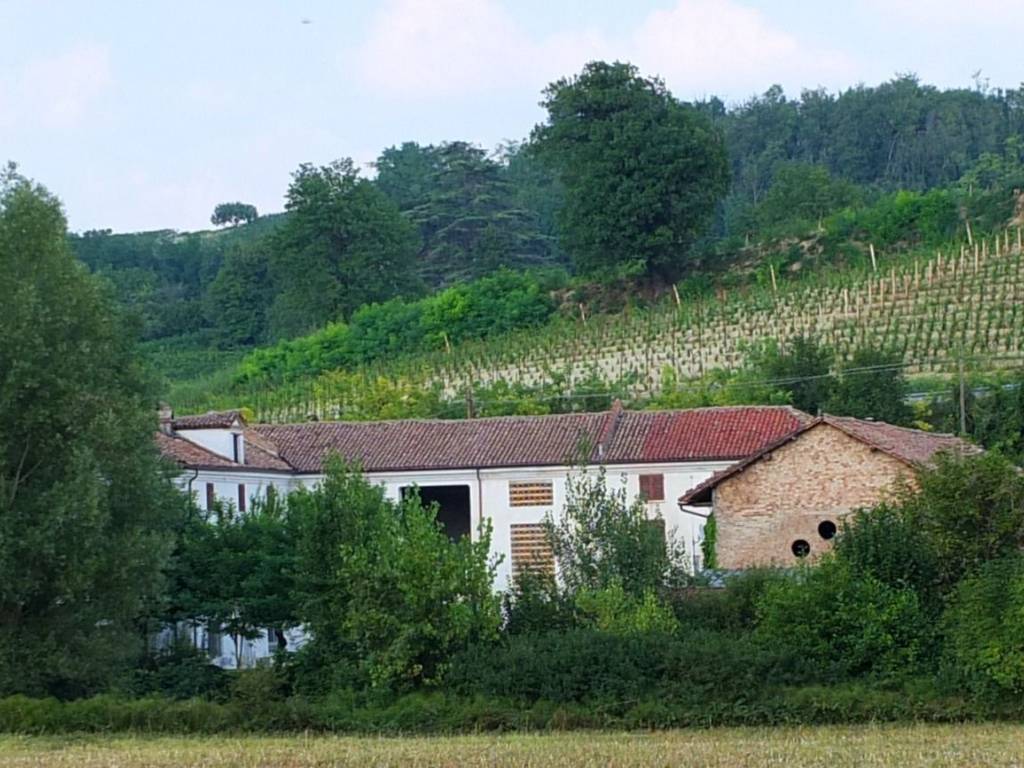 Rustico / casale a Nizza monferrato in Corso Acqui, 280 - Foto 4