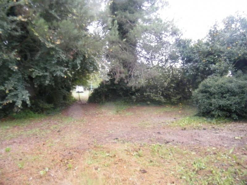 Rustico / casale a Jesi in Via Coppetella - Foto 5