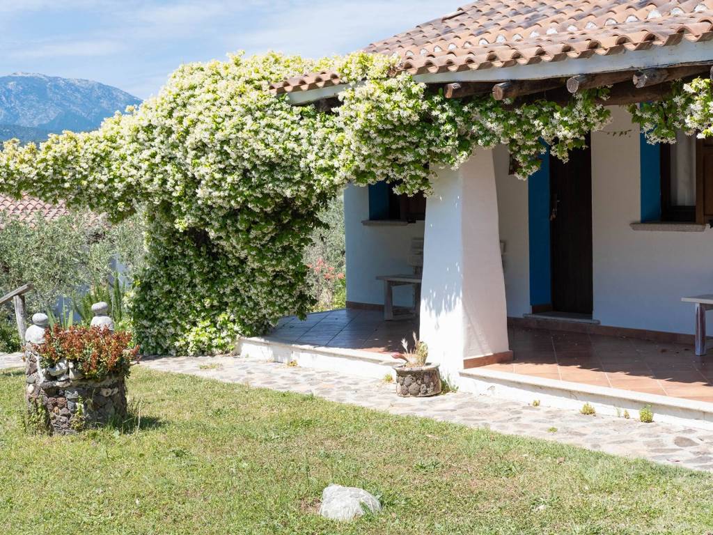 Rustico / casale a Galtellì - Foto 3