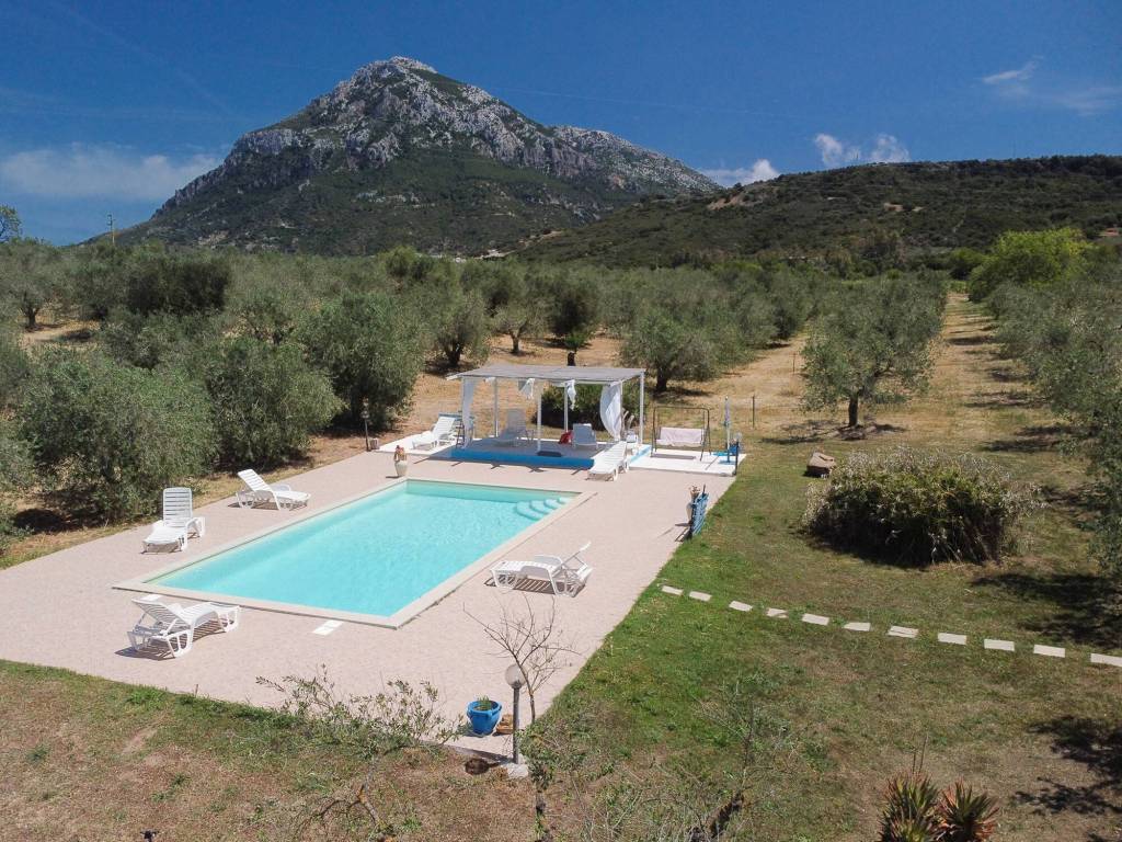 Rustico / casale a Galtellì - Foto 4