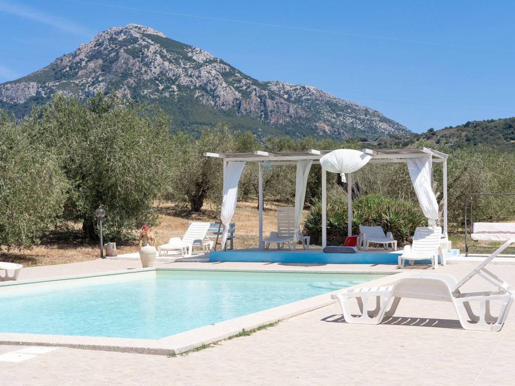 Rustico / casale a Galtellì - Foto 5