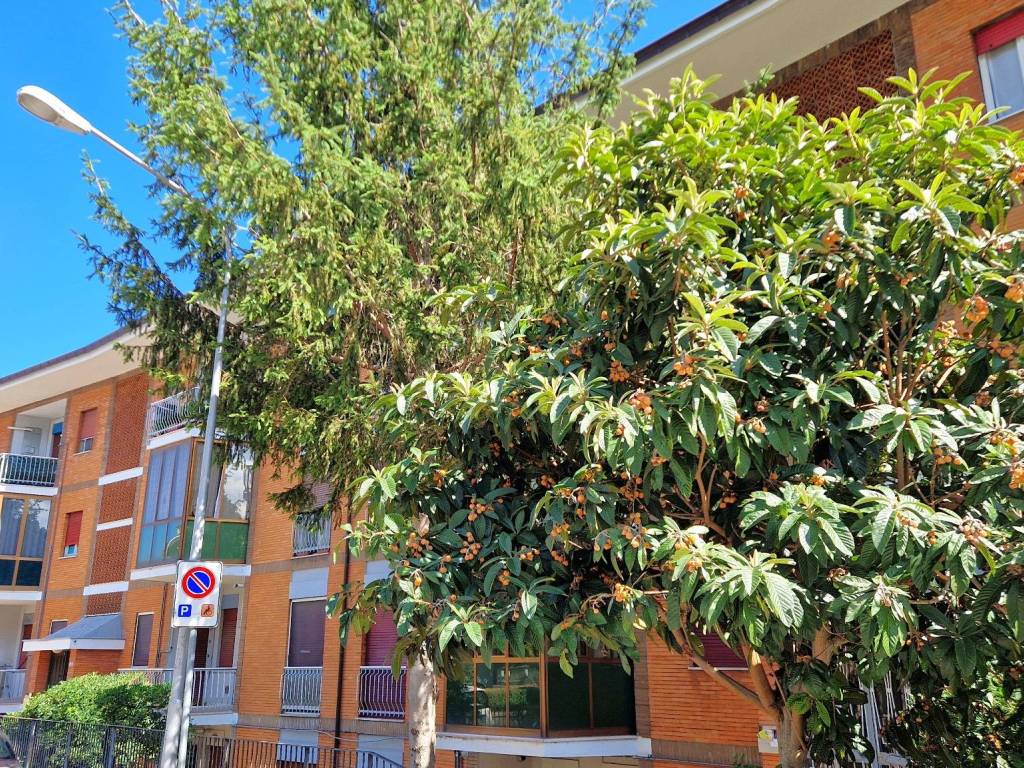 Appartamento a Penne in Via Francesco Verrotti, 14 - Foto 4