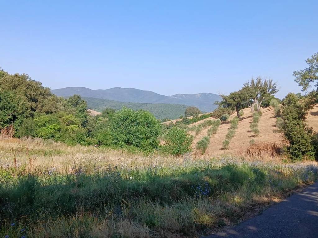 Rustico / casale a Magliano in toscana in Cupi - Foto 5