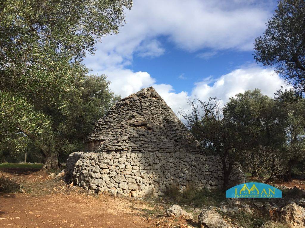 Rustico / casale a Ceglie messapica in Contrada Montagnulo - Foto 2