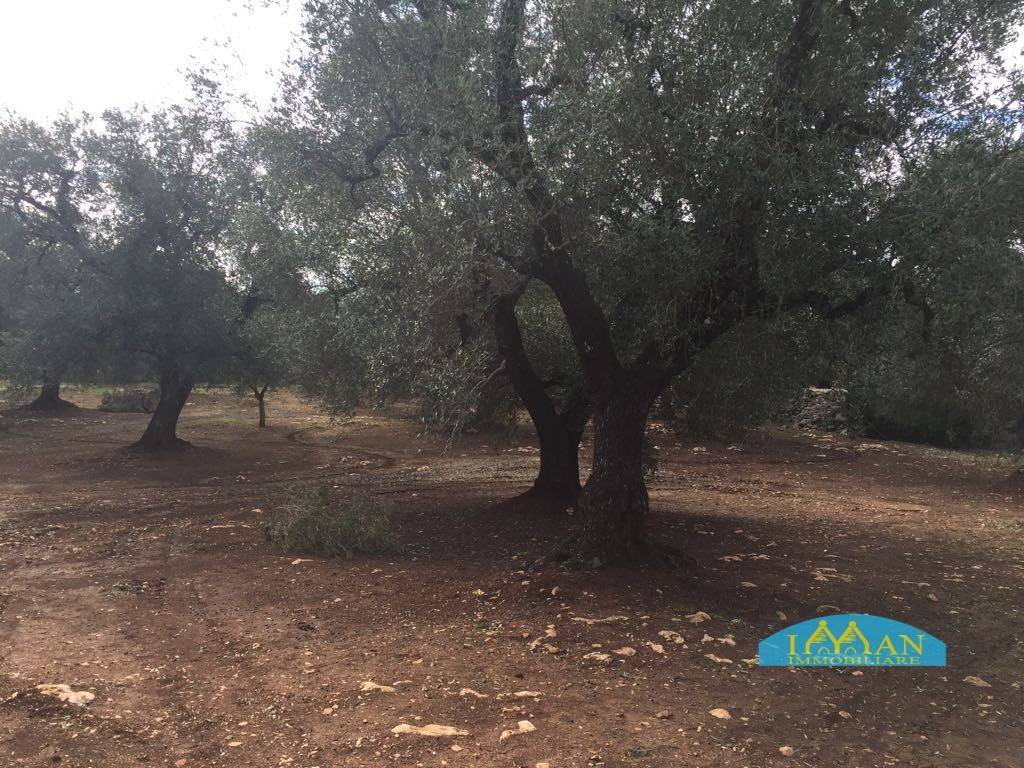 Rustico / casale a Ceglie messapica in Contrada Montagnulo - Foto 5