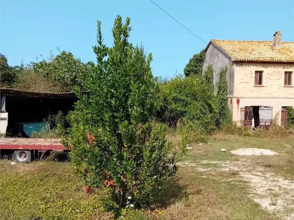 Rustico / casale a Osimo - Foto 4