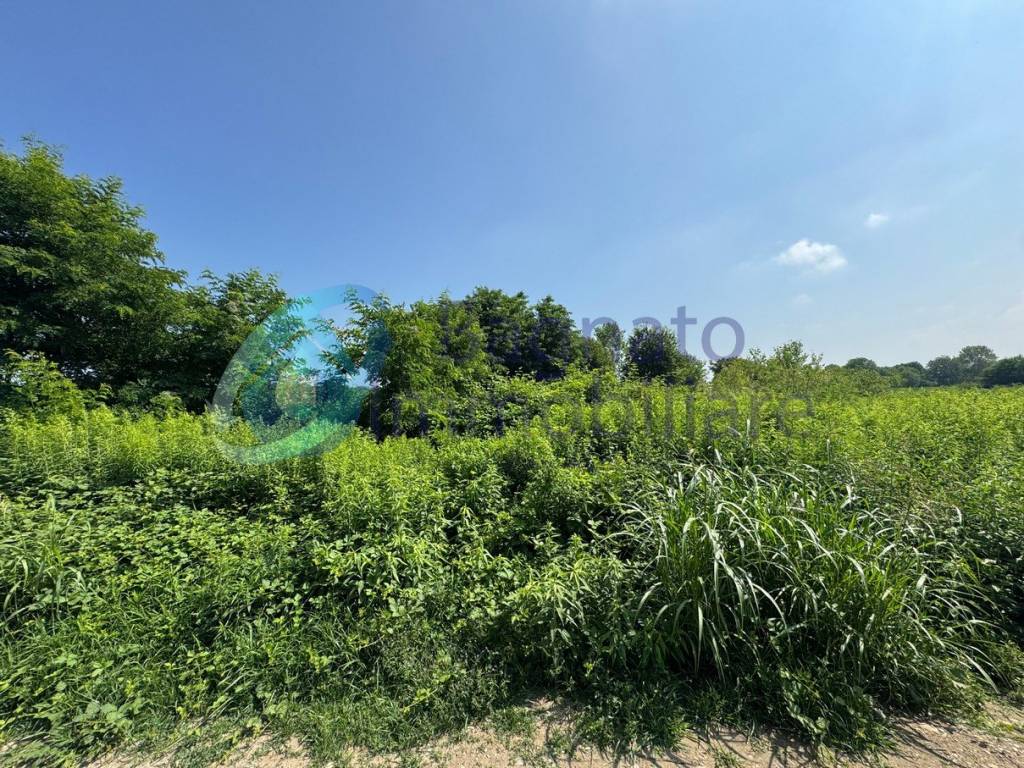 Terreno a Casaleggio novara in Via Castellazzo Novarese - Foto 3