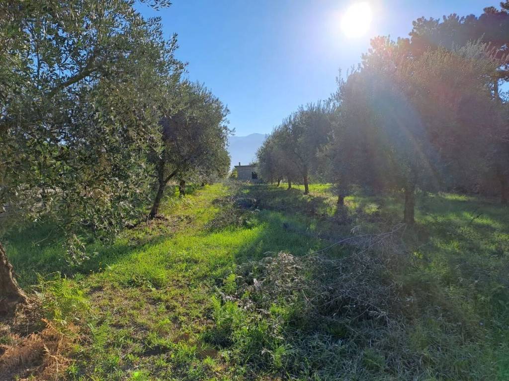 Terreno a Cori in Via Colle I, 15 - Foto 2